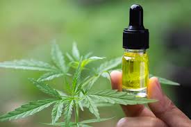 Weed in Australia and CBD oil